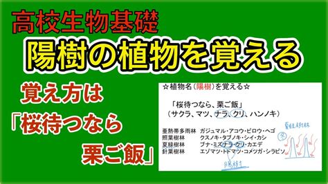 陽樹 陰樹 一覧 生物基礎|植物の名前一覧(生物基礎第4章『植生の多様性と分布』)